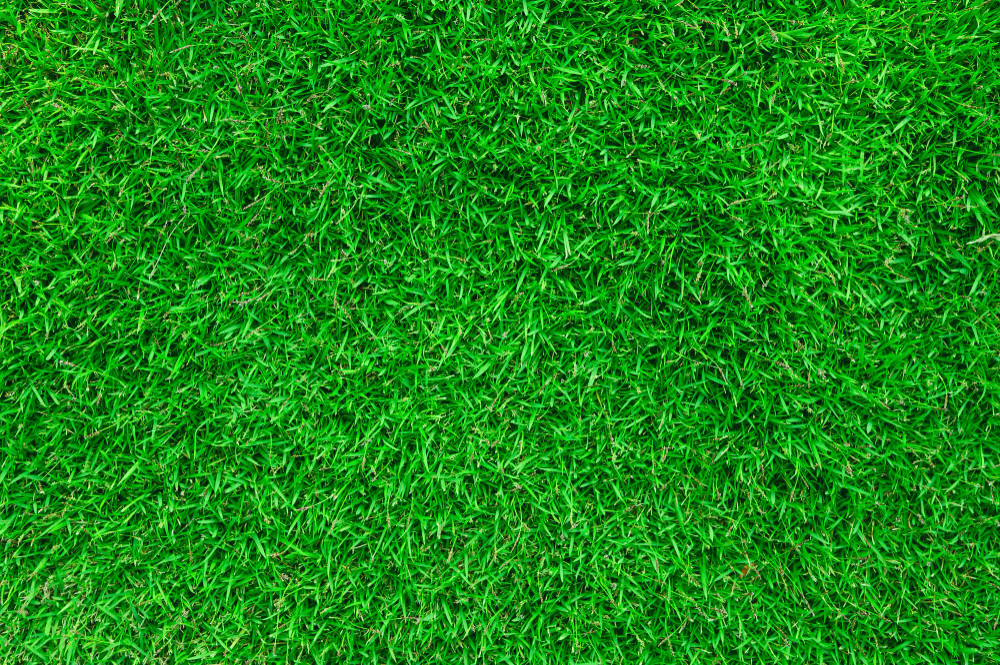 guide complet pour bien choisir et poser une Pelouse synthétique