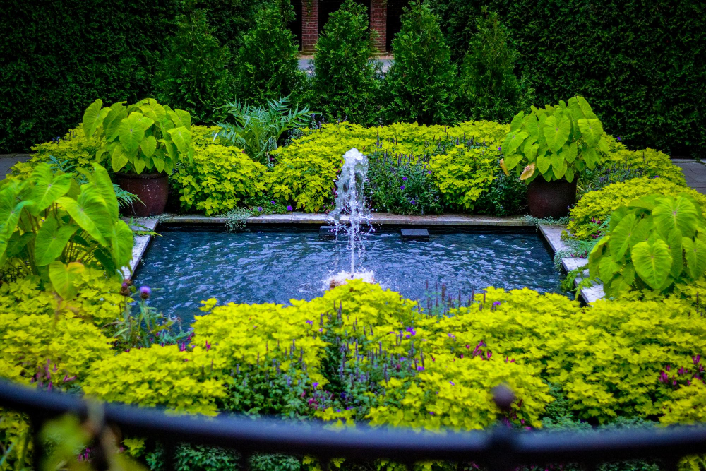  sélectionner le jet d'eau idéal et sublimer l'esthétique de votre bassin