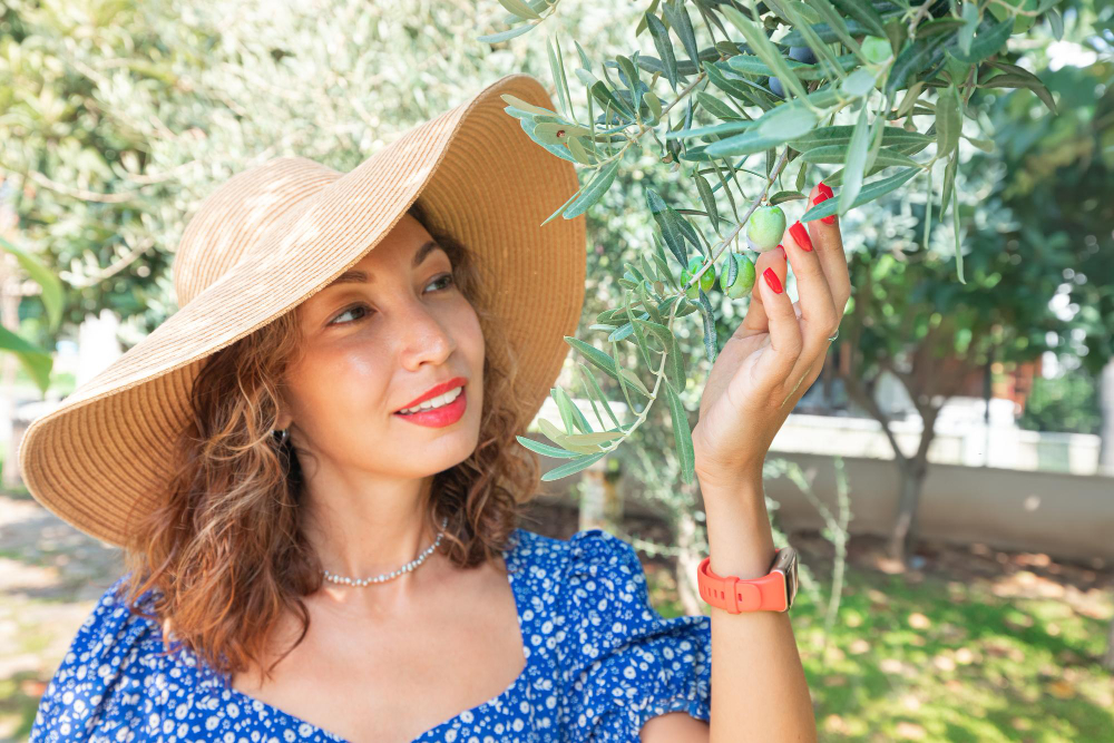 Tout savoir sur la floraison des oliviers 