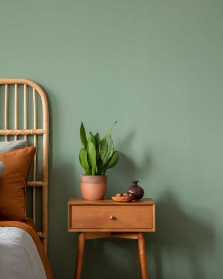 Chambre vert sauge et bois pour un décor naturel et apaisant
