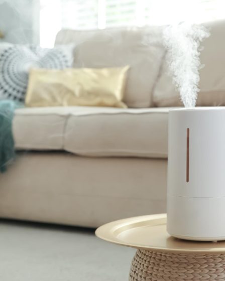 Guide pratique pour sélectionner le déshumidificateur idéal pour votre maison